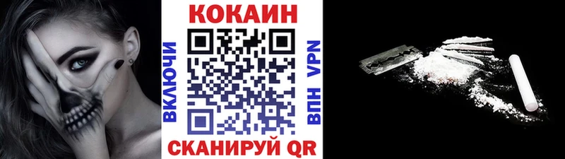 Cocaine FishScale  купить наркоту  Партизанск 