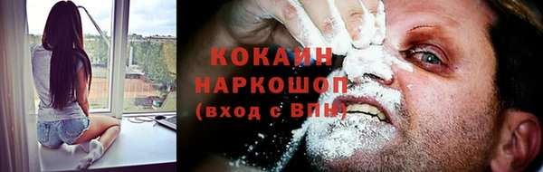стаф Алзамай