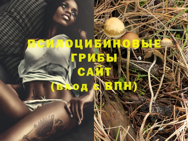 стафф Абаза