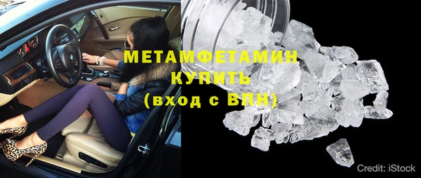 гидра Михайловск