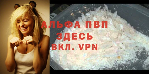 стафф Абаза
