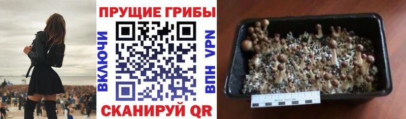 Галлюциногенные грибы ЛСД  дарнет шоп  Партизанск 